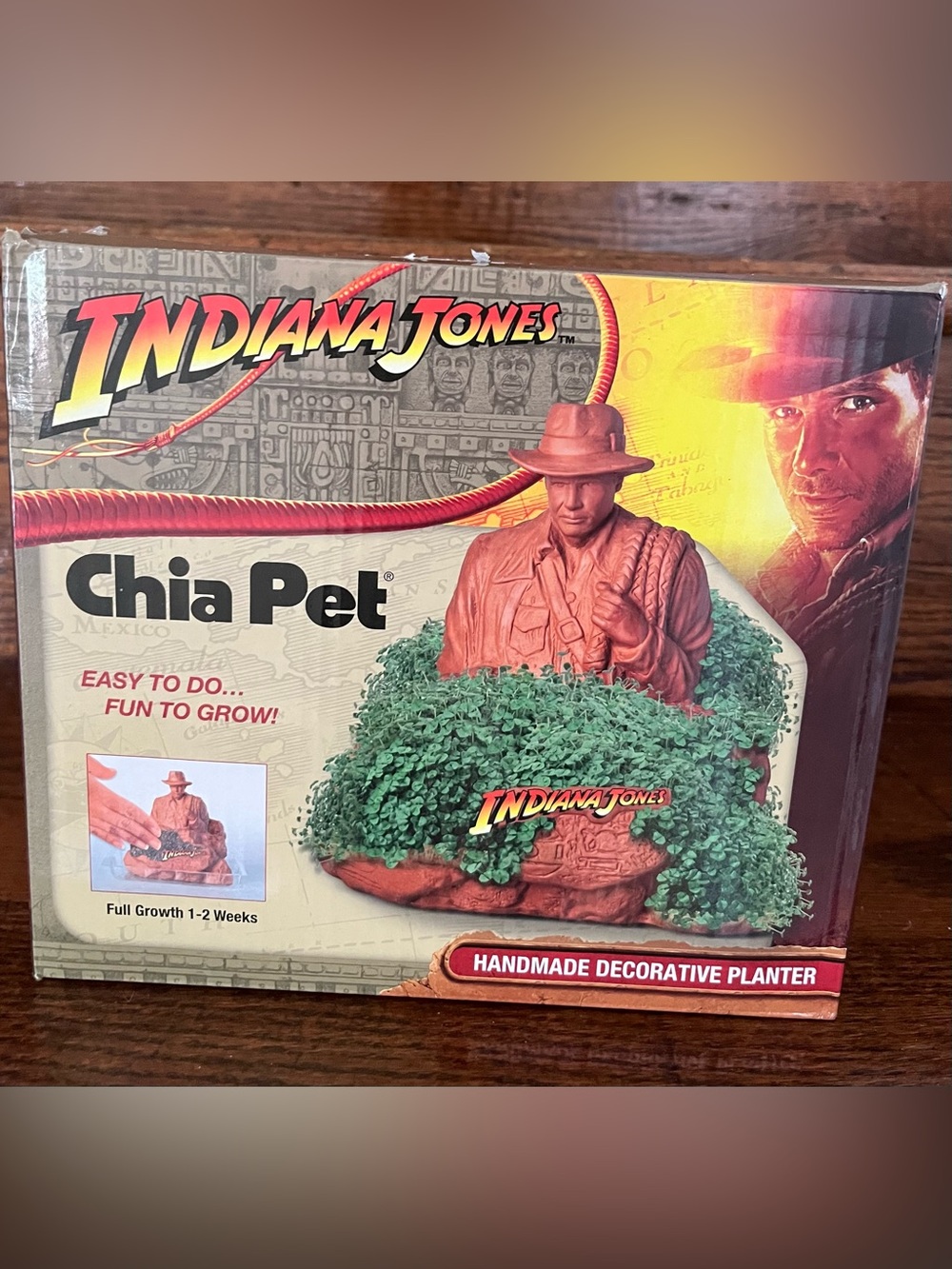 Chia Pet Handmade Decorative Planter Featuring Indiana Jones!  NIB